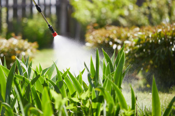 24/7 Emergency Fumigation Services experts in Perry, KS